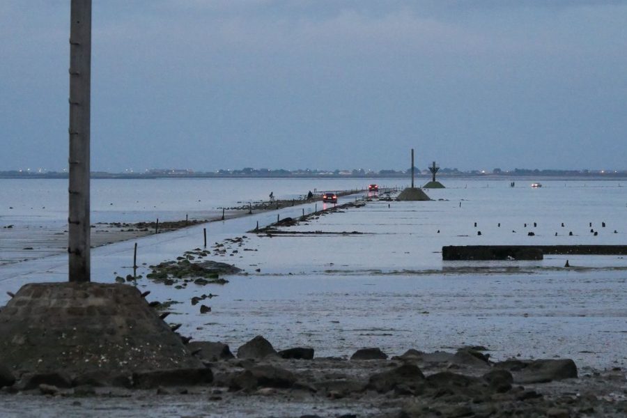 Driver & Butler | Tour | coastal | Noirmoutier